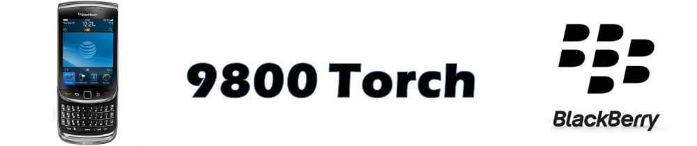 9800 TORCH