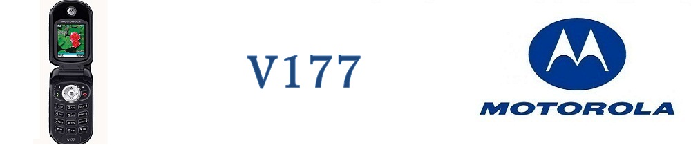 V177